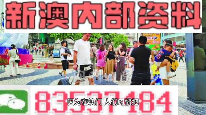 2024年澳门新全年免费资料大全--精选解释解析落实,澳门新全年免费资料大全——精选解释解析落实（2024版）