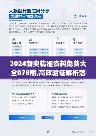 2024新澳精准资料免费--精选解释解析落实,揭秘2024新澳精准资料，免费解析、精选解释与全面落实