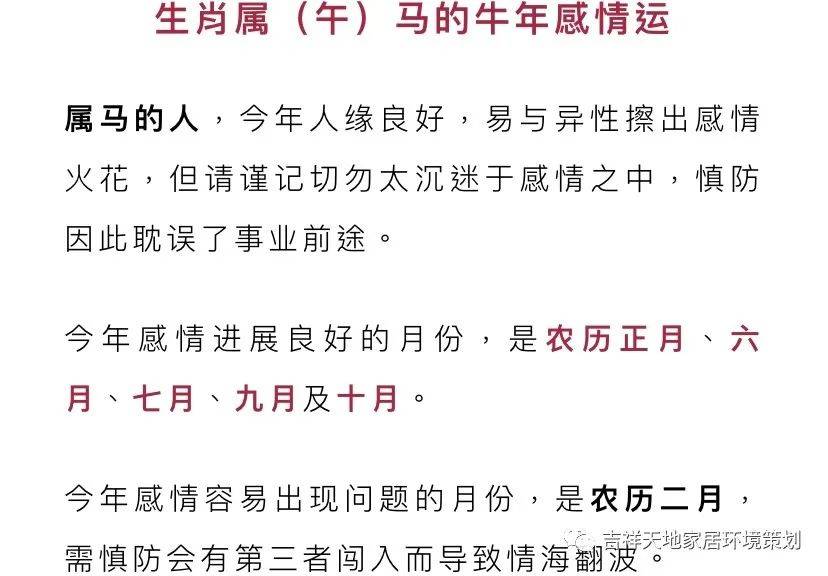 2024澳门今晚开特马开什么--精选解释解析落实,澳门今晚特马精选解析与前瞻性预测