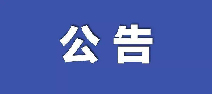 2024新澳最精准龙门客栈--精选解释解析落实,2024新澳最精准龙门客栈，解析、落实与精选之道