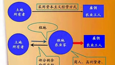 澳门最准连三肖--精选解释解析落实,澳门最准连三肖——精选解释解析落实与违法犯罪问题探讨