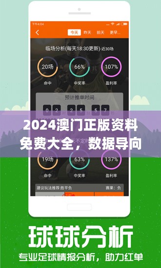 2024澳门濠江免费资料--精选解释解析落实,探索澳门濠江未来，精选资料解析与落实策略