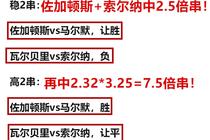 一码一肖一特一中2024--精选解释解析落实,一码一肖一特一中，解析与落实精选策略在2024年的应用