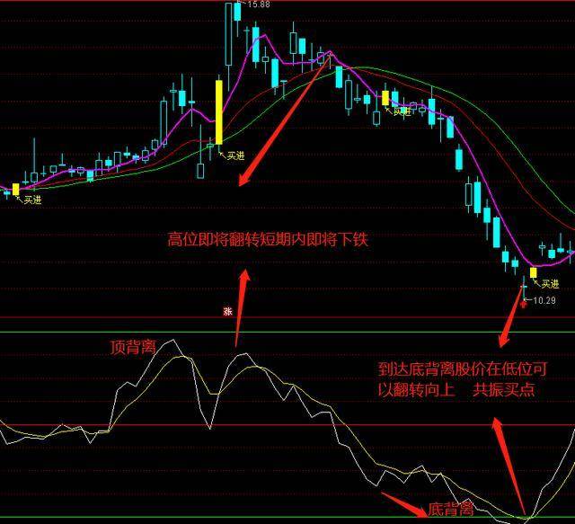 澳门今晚开特马+开奖结果走势图--精选解释解析落实,澳门今晚特马开奖结果走势图及精选解析——深度解读与落实策略