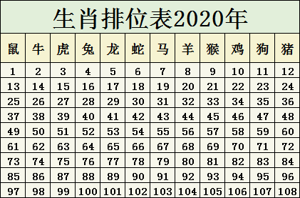 2024十二生肖49码表--精选解释解析落实,揭秘2024十二生肖与49码表，深度解析与实际应用指南