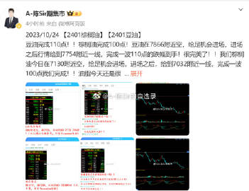 一肖100%中--精选解释解析落实,一肖100%中，精准解析与落实策略