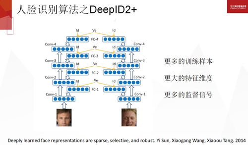 2024香港正版资料免费看--精选解释解析落实,探索香港资讯前沿，2024年正版资料免费共享与精选解析落实