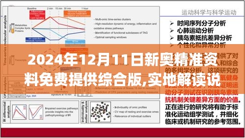 2024新奥精准正版资料--精选解释解析落实,新奥精准正版资料详解，解析、选择与落实策略