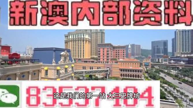 2024新澳门精准资材免费--精选解释解析落实,新澳门精准资材解析与落实策略展望